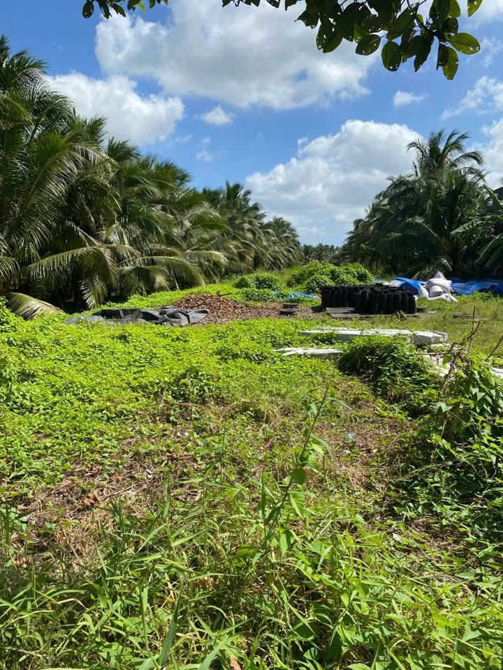 Đất mặt tiền Trương Vĩnh Trọng, Hưng Nhượng, 2600m² giá 4 tỷ - Cơ hội đầu tư sinh lời!