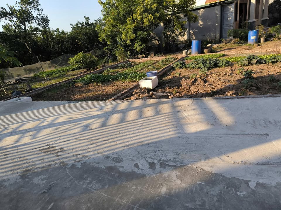 Đất nền Song Liễu - Thuận Thành 45m² giá 1 tỷ - Cơ hội đầu tư tuyệt vời!