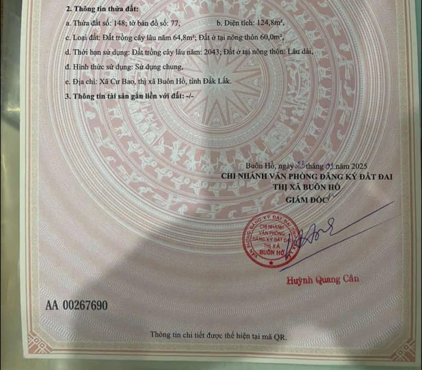 Đất nền Cư Bao, Buôn Hồ 125m² giá 250 triệu - Pháp lý rõ ràng, bao bìa!