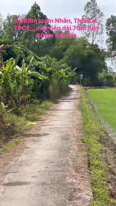 Đất nền Trường Thắng Thới Lai 2000m² giá 800 triệu - Đầu tư sinh lời ngay!