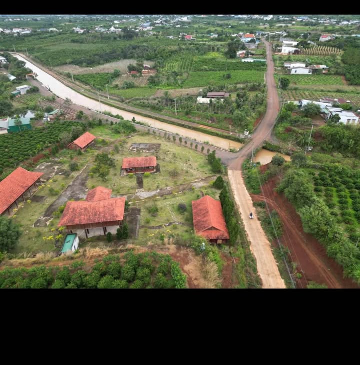 Đất thổ cư Tân Hội - Đức Trọng 150m² giá 580 triệu - Cơ hội đầu tư lý tưởng!