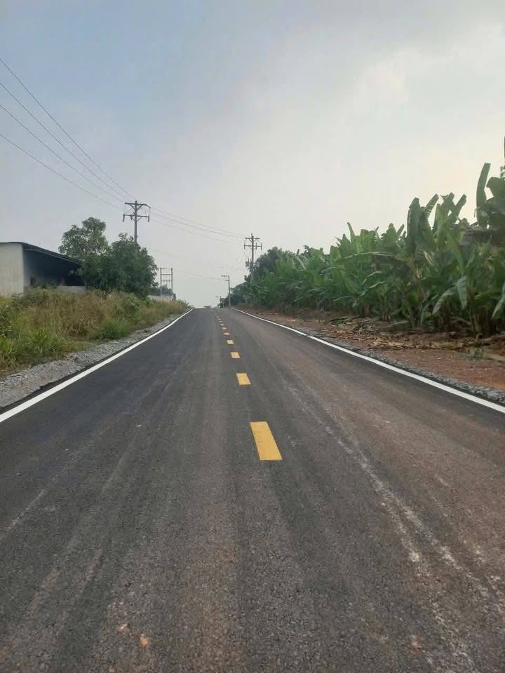 Đất Farm 10 Héc tại Hiếu Liêm, Bắc Tân Uyên, Bình Dương - Đầu tư sinh lời chỉ 5.4 tỷ!