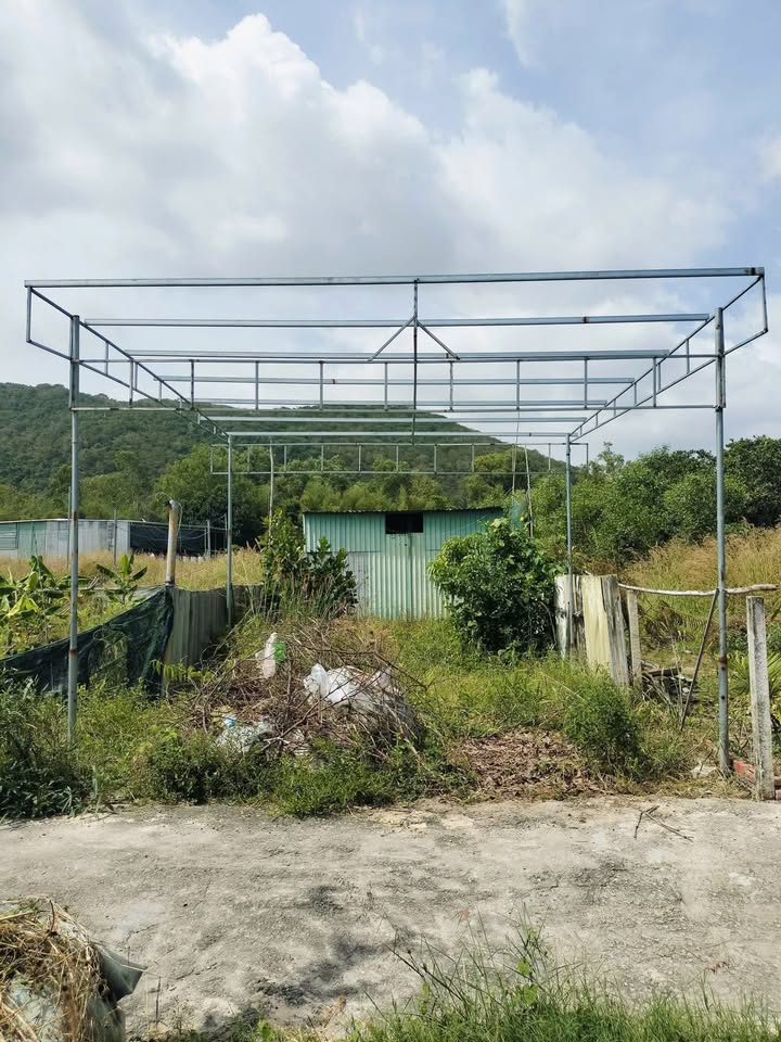 Đất nền Phước Hưng 100m² giá 290 triệu - Đầu tư sinh lời ngay!