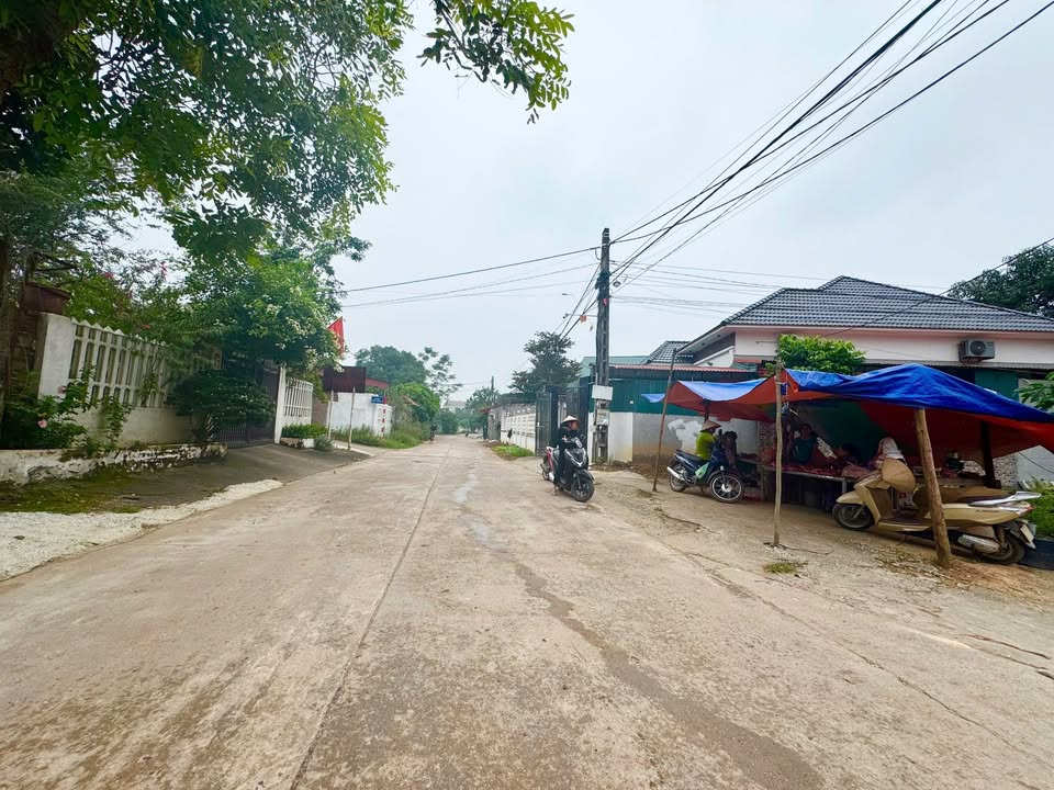 Đất nền Thanh Vân, Tam Dương 95,5m² giá 1,3 tỷ - Cơ hội đầu tư tuyệt vời!