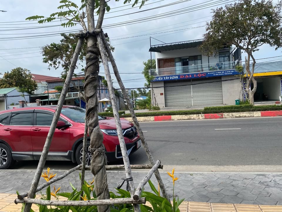 Nhà mặt tiền Phước Bửu, Xuyên Mộc 228m² giá 6 tỷ - Đầu tư sinh lời ngay!