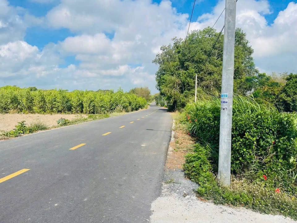 Đất nền Láng Dài 1000m² giá 2.45 tỷ - Vị trí đẹp, tiện ích đầy đủ!