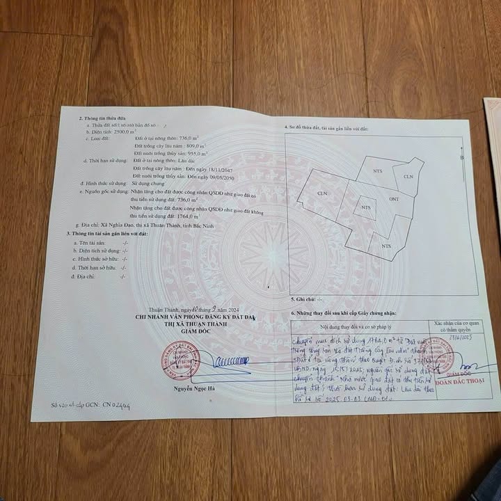 Đất thổ cư Nghĩa Đạo, Thuận Thành 2500m² - Đường ô tô tải thông thoáng, giá thỏa thuận!