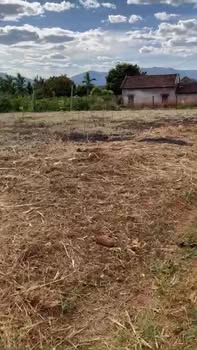 Đất nền xã Ia Hrung 650m² giá 200 triệu - Đầu tư sinh lời ngay!