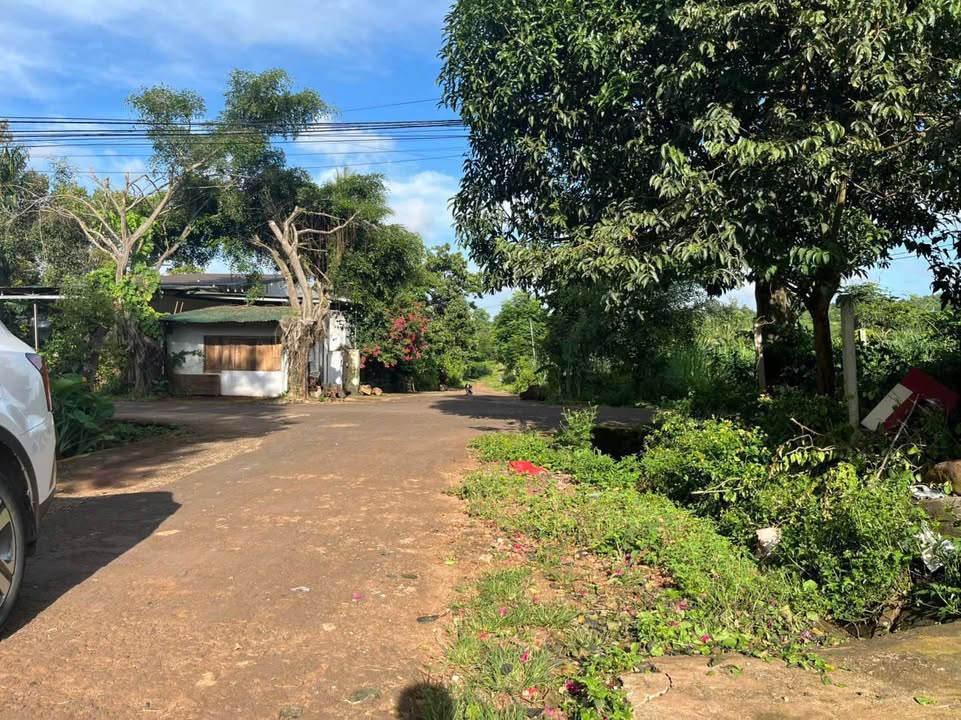 Nhà cấp 4 phường Ea Kao 119m² giá 989 triệu - Mặt tiền đường nhựa thông rộng