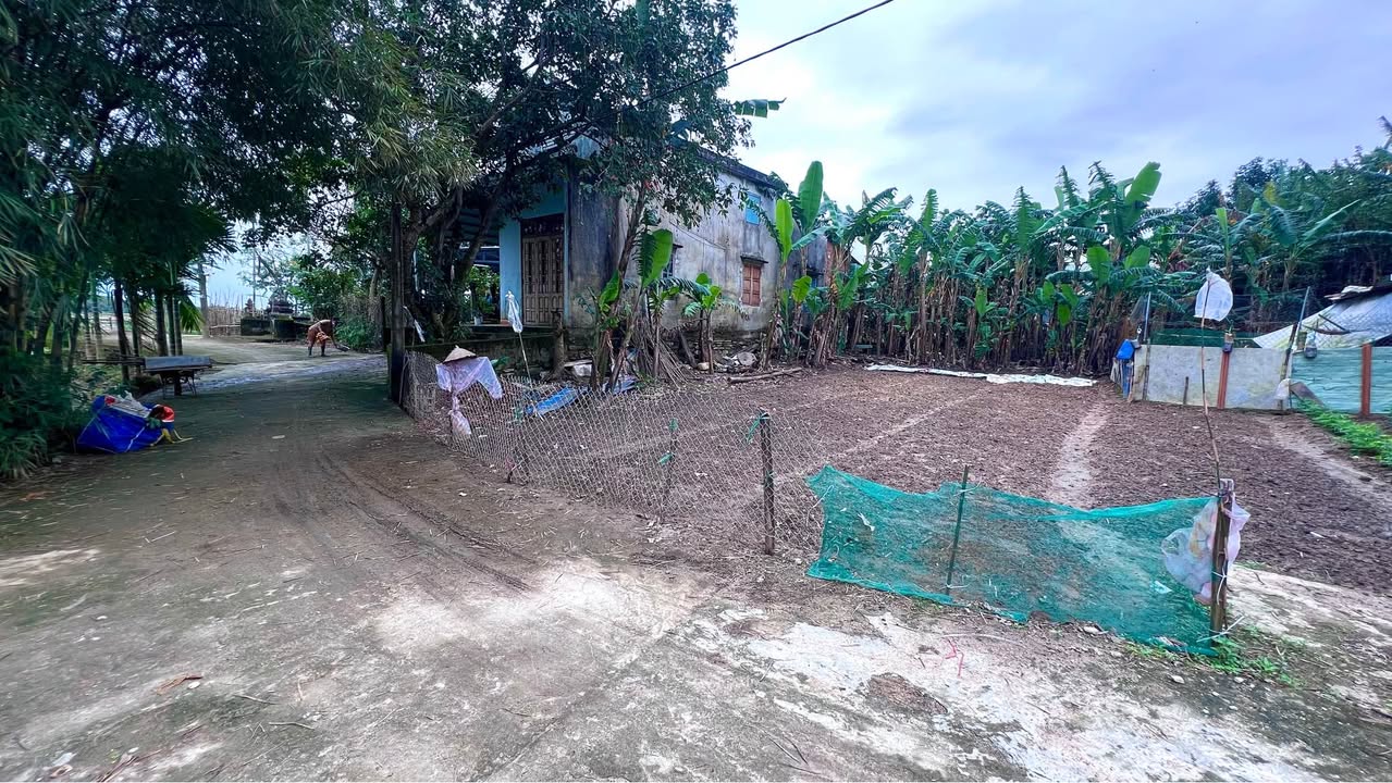 Đất nền gần UBND xã Hòa Phong 100m² - Giá tốt, vị trí đắc địa!