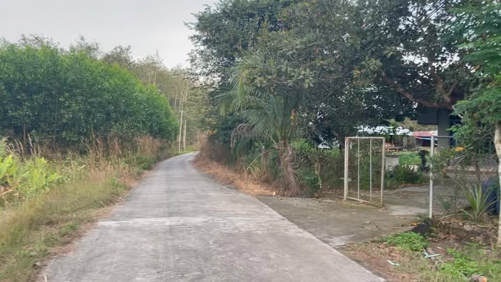 Đất thổ cư 100m² tại Ấp Phượng Vỹ, Xuân Lộc chỉ 500 triệu - Pháp lý rõ ràng!