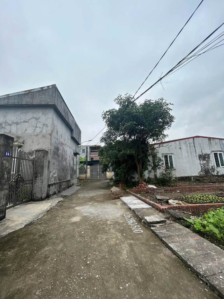 Lô đất Lê Lợi An Dương 81.9m² giá 1.7 tỷ - Đầu tư sinh lời ngay!