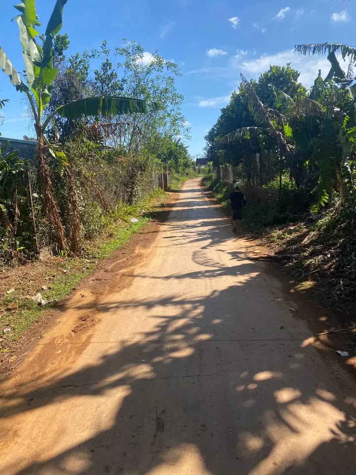 Đất nền hẻm Tú Xương, Pleiku 125m² giá 399 triệu - Cơ hội đầu tư hấp dẫn!