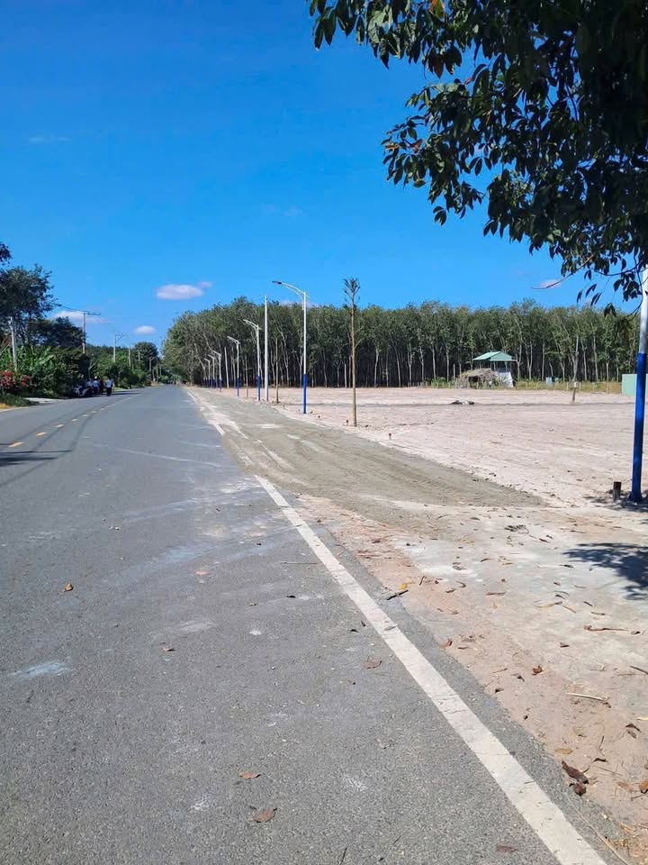 Đất nền mặt tiền đường Cao Bá Quát Chơn Thành 200m² giá 900 triệu - Cơ hội đầu tư hấp dẫn!