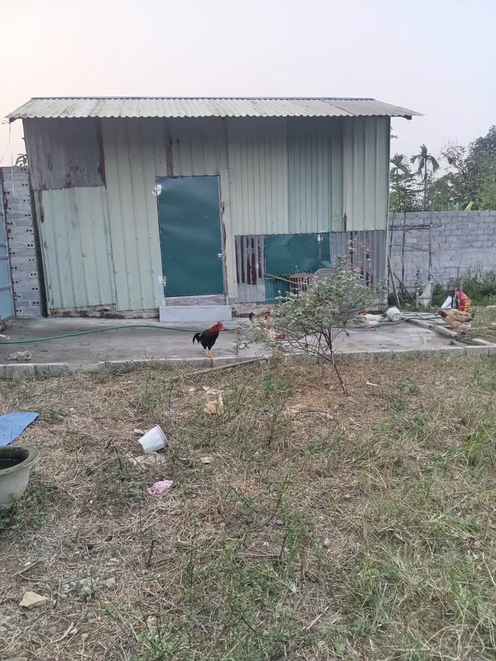 Đất Farm Hòa Thạch Quốc Oai 586m² giá 5.86 tỷ - Mặt tiền rộng, vị trí đẹp cho nghỉ dưỡng