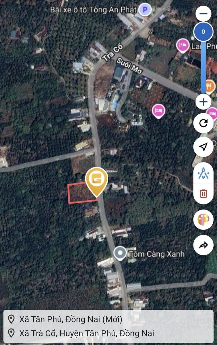 Đất mặt tiền Trà Cổ, Tân Phú, Đồng Nai 2196m² giá 8.9 tỷ - Đầu tư sinh lời cao!