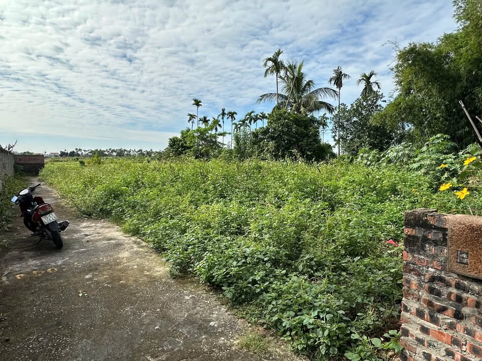 Đất nền An Đồng, Hải Phòng 62m² giá 1 tỷ - Tiện ích đầy đủ, gần trường, chợ