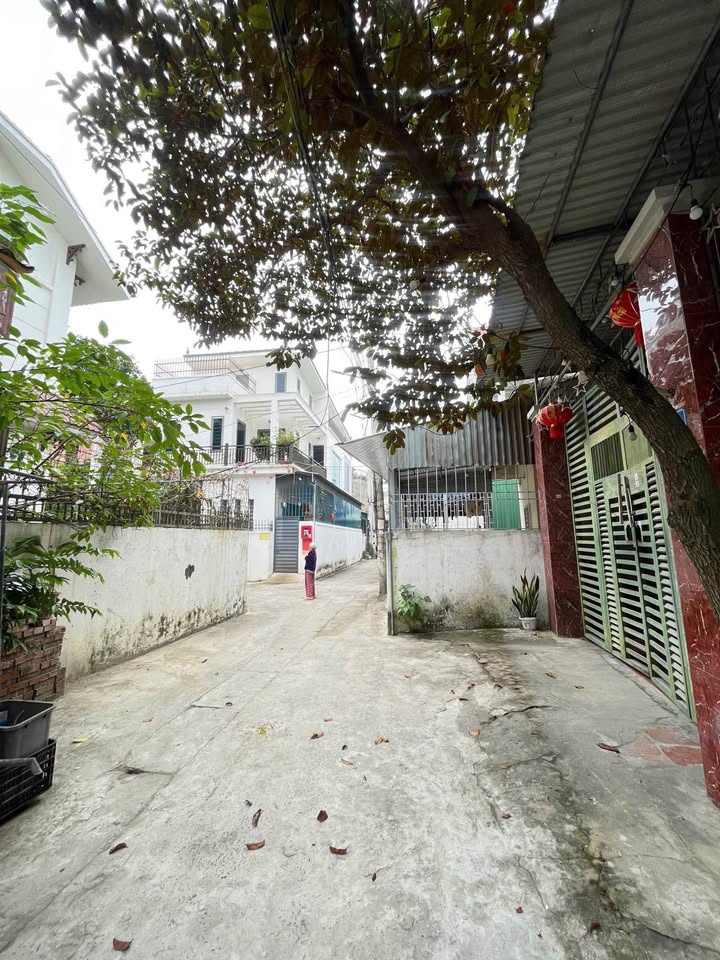 Đất nền Đặng Tất - TP Vinh 308.6m² giá 7.715 tỷ - Cơ hội đầu tư sinh lời!