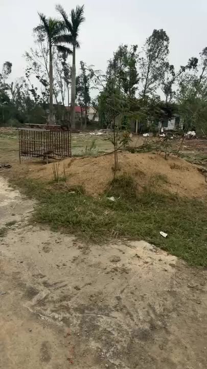 Đất nền Nam Giang, Nam Đàn 125m² - Cơ hội đầu tư hấp dẫn!