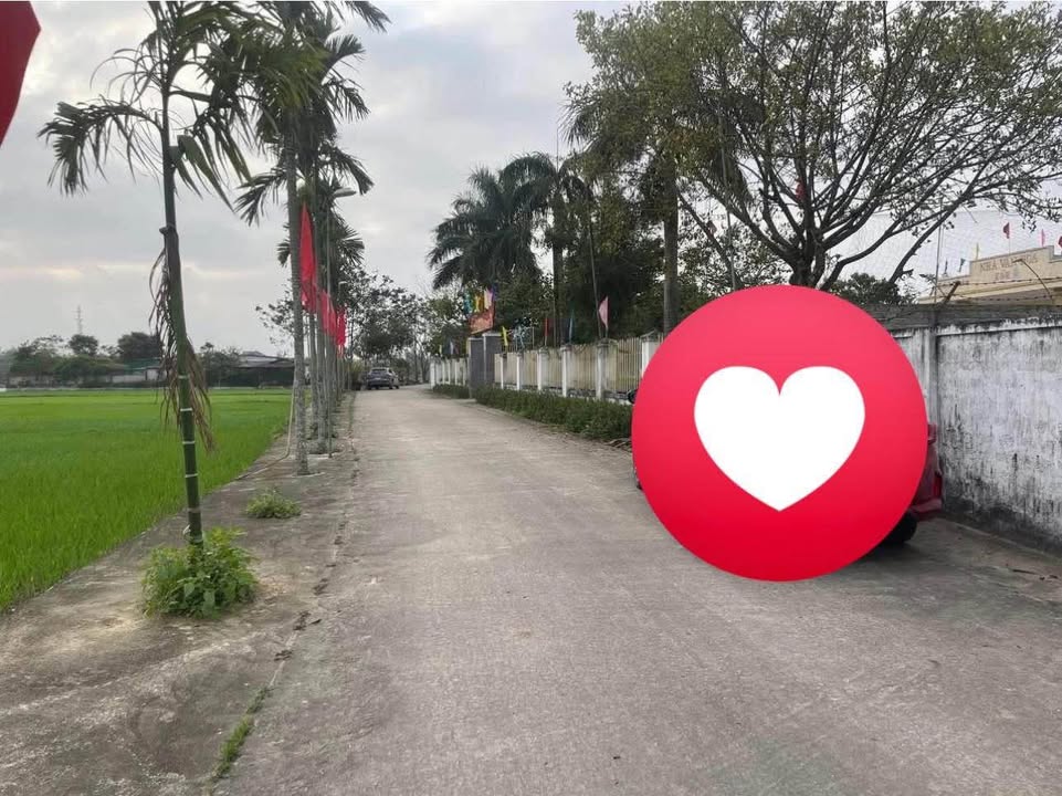 Đất vàng Nghi Trung 109m² giá thỏa thuận - Khu vực thuận lợi, gần uỷ ban và trường học!