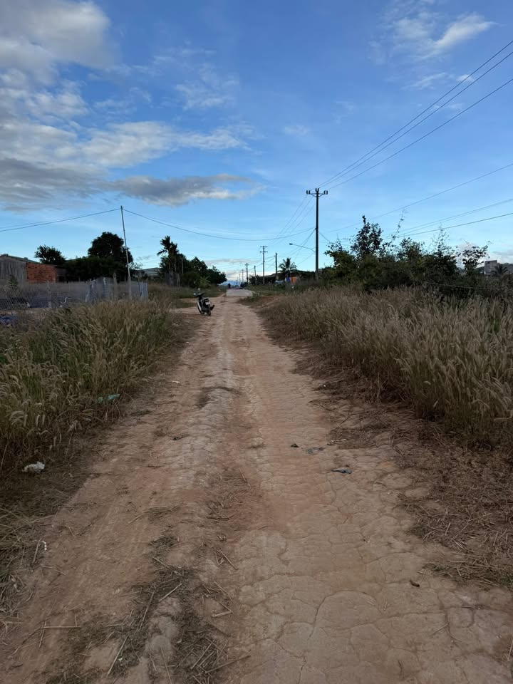 Đất nền đường quy hoạch số 9 - Đăk Hring 562.5m² chỉ từ 300 triệu - Tiềm năng đầu tư cao!