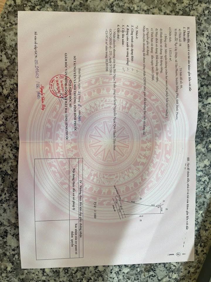 Đất nền Tân Phước, Đồng Phú 1000m² - Cơ hội đầu tư hấp dẫn!