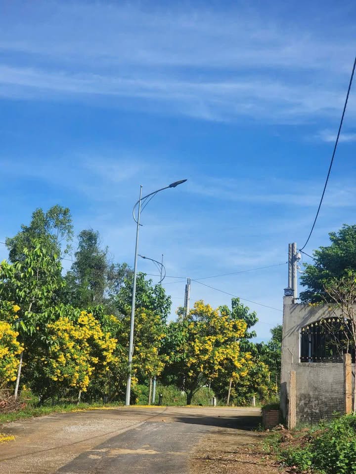 Đất nền Tiến Thành, Đồng Xoài 750m² giá 2 tỷ - Xây trọ nhà vườn lý tưởng!