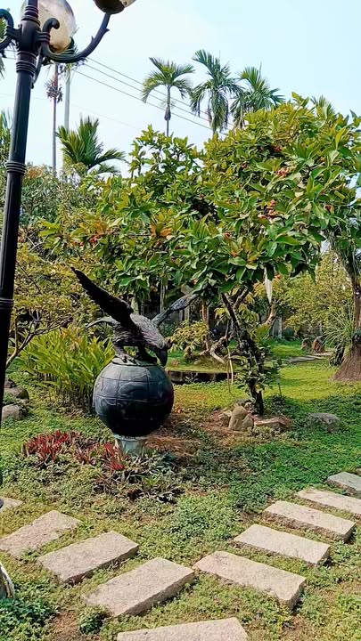 Biệt thự gỗ sân vườn Nhị Bình Hóc Môn 2000m² giá 25 tỷ - Không thể bỏ lỡ!