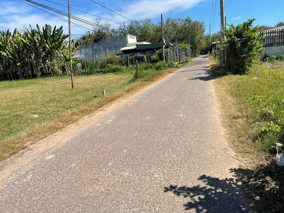 Đất Tân Phú Tân Châu 310m² giá 2.13 tỷ - Mặt tiền đường nhựa, gần chợ và trường học!