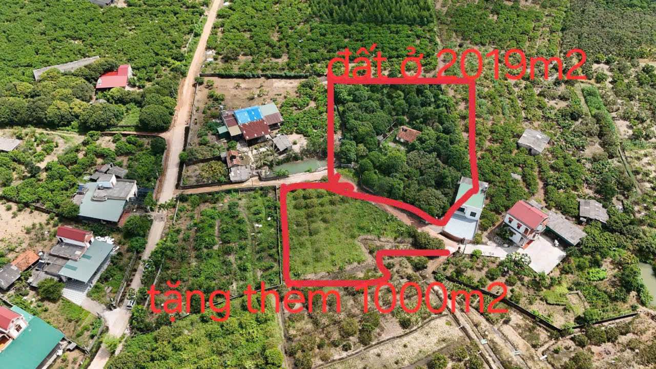Đất nền Bến Tắm, Chí Linh 3000m² giá 2 tỷ - Cơ hội đầu tư tuyệt vời!