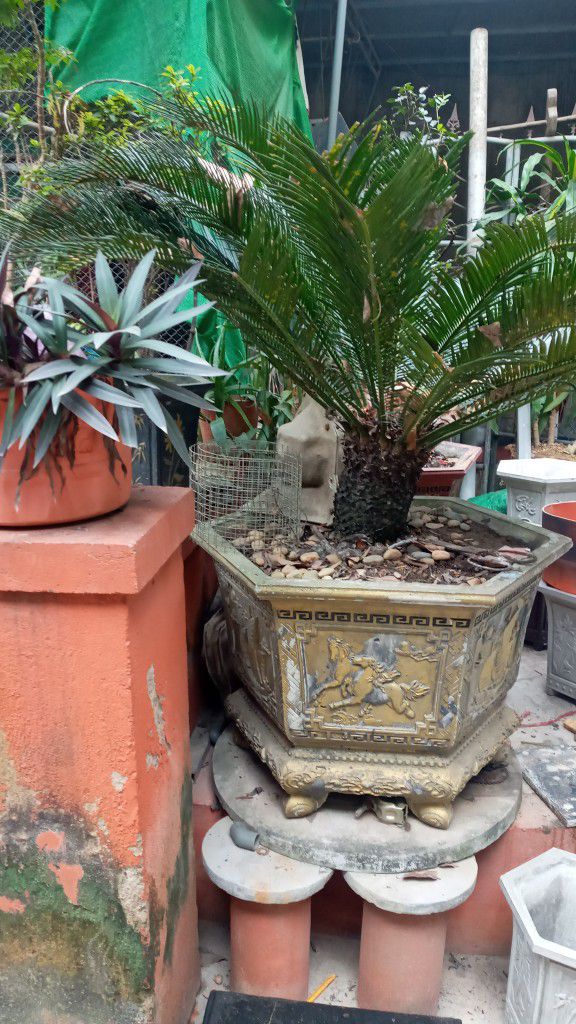 Đất nền Nam Đàn 390m² giá 2 tỷ - Cơ hội đầu tư vàng!