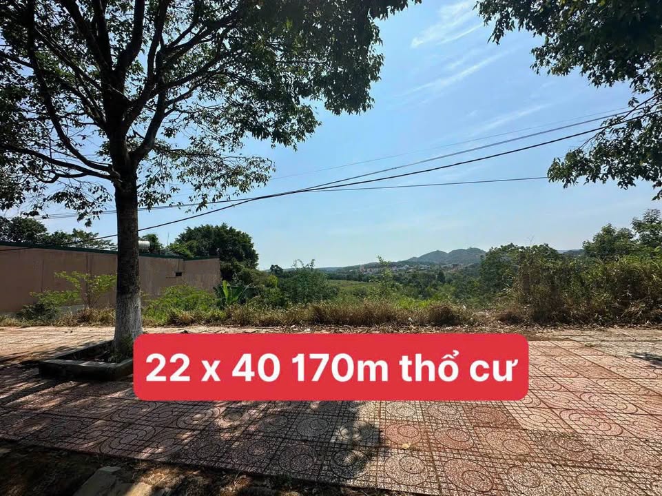 Đất vàng mặt tiền Hùng Vương, Gia Nghĩa 1540m² - Tiềm năng kinh doanh vượt trội!