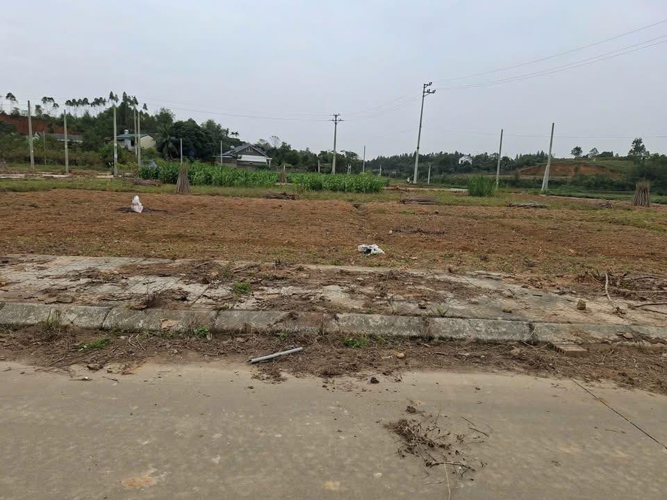 Đất nền Khu 12 Tiên Kiên 100m² giá 8xx triệu - Cơ hội đầu tư tuyệt vời!