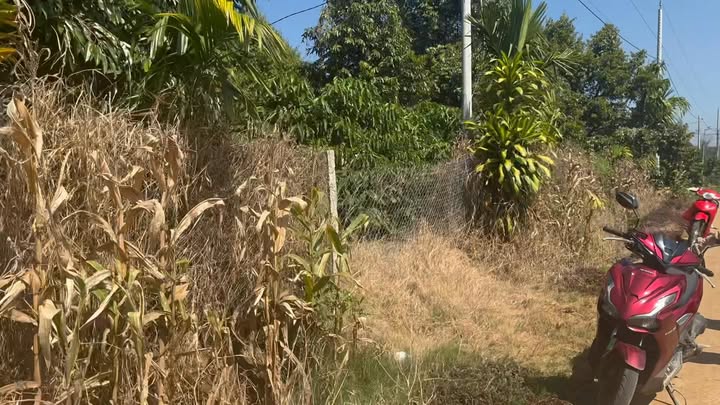 Đất vườn cây sầu riêng 600m² tại Hoài Đức - Giá chỉ 4.3 tỷ, còn thương lượng!