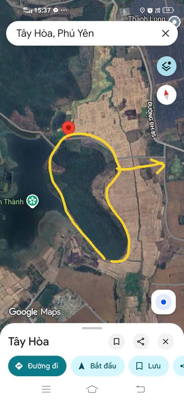 Đất Farm Sơn Thành Đông 7ha giá 2 tỷ - Sổ hồng sẵn, đầu tư sinh lời!