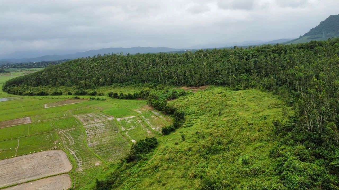 Đất Farm Sơn Thành Đông Tây Hòa 70.000m² giá 200 triệu - Sổ hồng đầy đủ, đầu tư sinh lời!