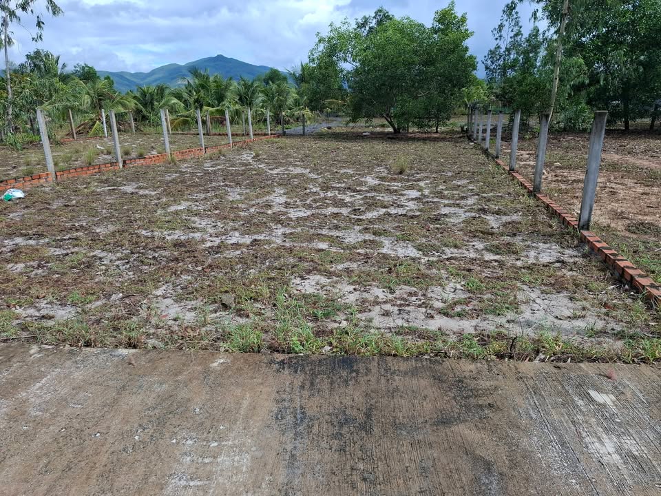 Đất nền Xuân Lộc, Sông Cầu 250m² giá 645 triệu - Cơ hội đầu tư tuyệt vời!