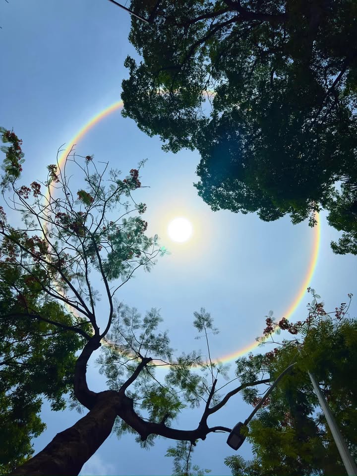 FrontHouse 94m² đường Chợ Hàng - Giá chỉ 9.4 tỷ, vị trí đắc địa!