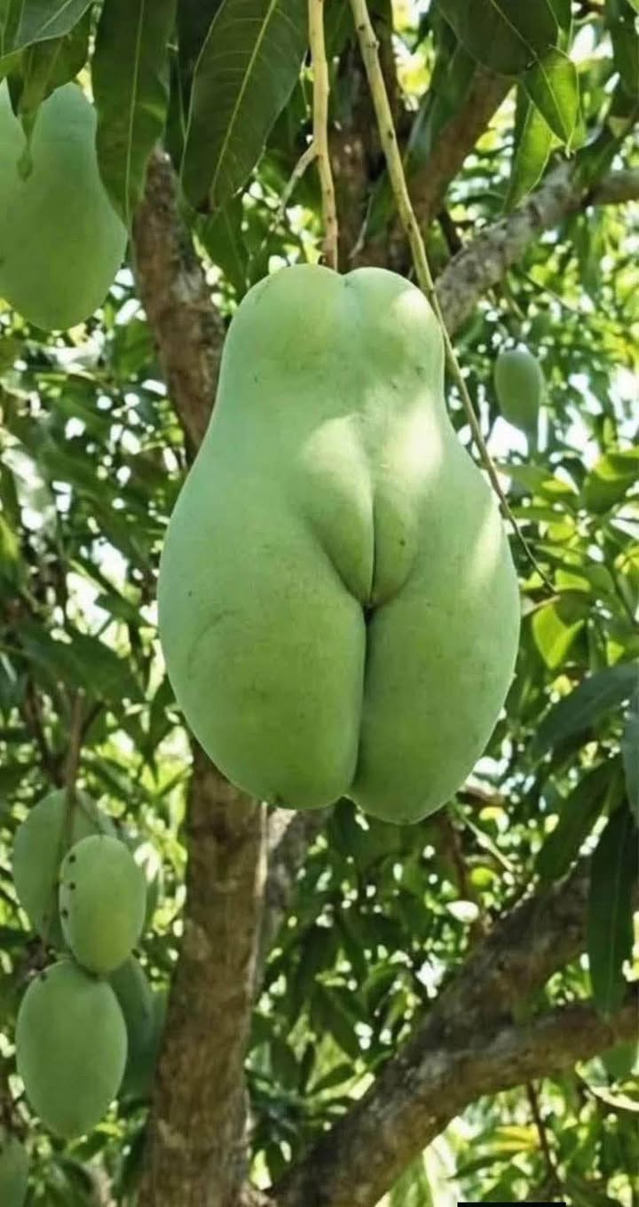 Đất thổ cư 200m² tại QL29, xã Sơn Giang, Sông Hinh - Giá chỉ 800 triệu!