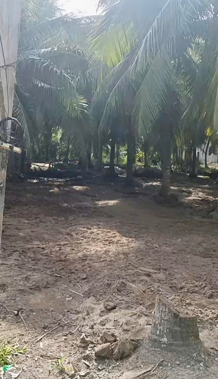 Đất nền An Thới Mỏ Cày Nam 200m² giá 490 triệu - Cơ hội đầu tư tuyệt vời!