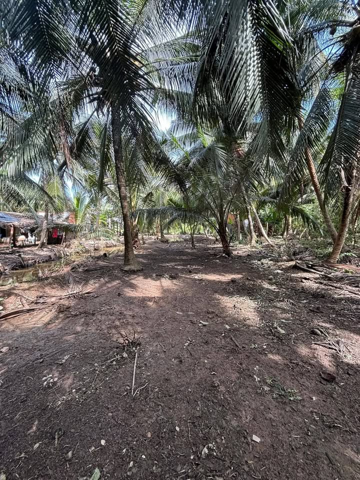 Đất vườn Lộc Thuận Vĩnh Long 943m² giá 320 triệu - Cơ hội đầu tư tuyệt vời!