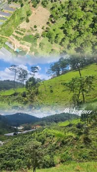 Đất nông nghiệp 5000m² tại Xuân Thọ, Đà Lạt - Giá chỉ 2 tỷ, thương lượng tốt!