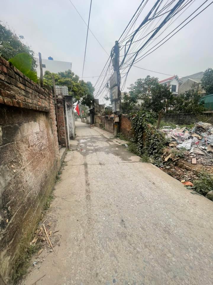 Đất nền Phụng Châu, Chương Mỹ 66.7m² giá 4.5 tỷ - Vị trí đắc địa, ô tô vào tận nơi!