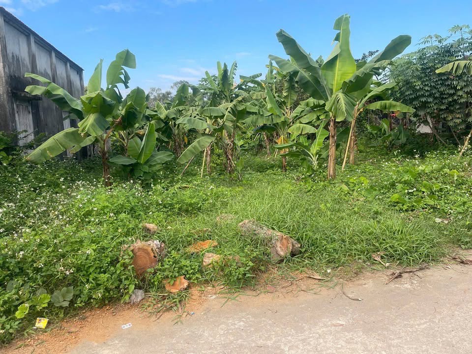 Đất nền 737m² xã Ngọc Sơn, Hiệp Hòa chỉ 2.1 tỷ - Cơ hội đầu tư hấp dẫn!