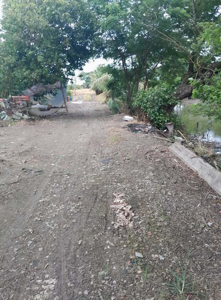 Đất nông nghiệp 15 công tại Vĩnh Nhuận, Châu Thành - Giá chỉ 1.755 tỷ VND!