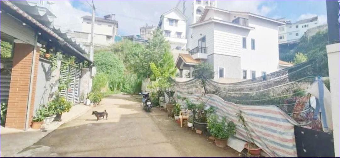 Bán Đất Biệt Thự Đà Lạt 205m² giá 6.5 tỷ - Pháp lý rõ ràng, xây dựng ngay!