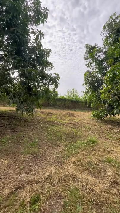 Đất nền La Ngà 15,000m² giá 5 tỷ - Pháp lý rõ ràng, đầu tư sinh lời!