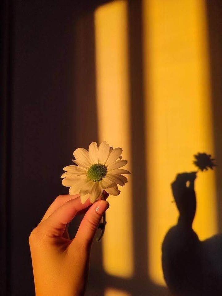 Đất nông nghiệp Rạch Dừa 217m² giá 4.999 tỷ - Cơ hội vàng đầu tư!