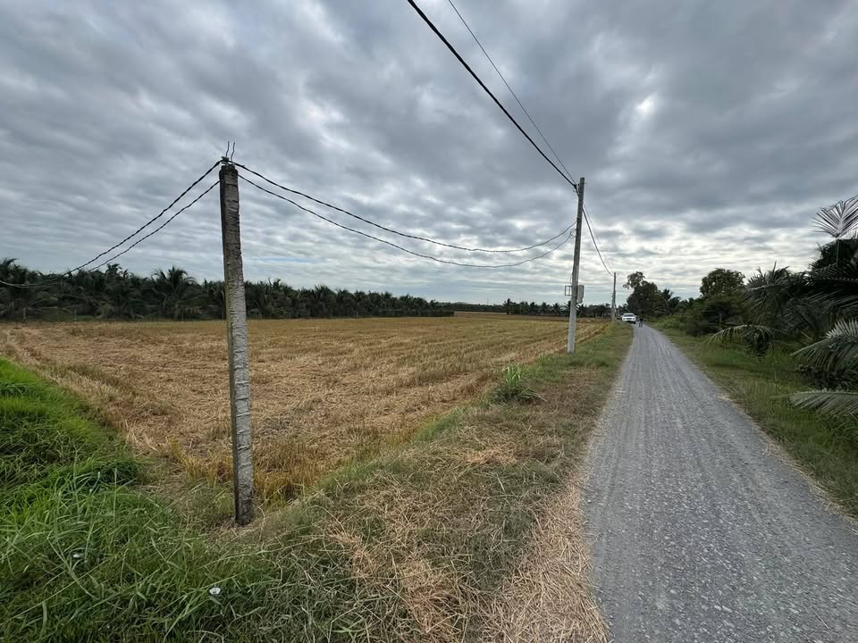 Đất nền 2960m² mặt tiền đường bờ kênh T1 - Giá 3.95 tỷ, đầu tư sinh lời ngay!