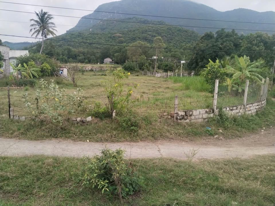 Đất thổ cư Cam Phước Đông 4360m² giá 3 tỷ - Sổ đỏ chính chủ, 2 mặt đường!